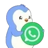 Bingo Plus Customer Support
